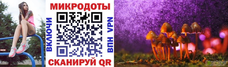 Псилоцибиновые грибы мицелий  Самара 